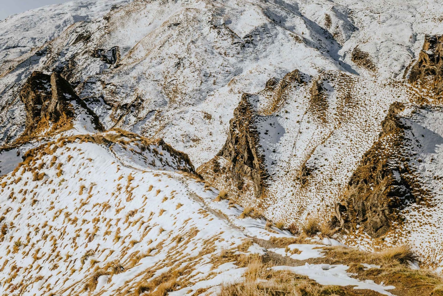 De Queenstown - Excursão fotográfica personalizada de meio dia