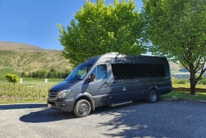 From Queenstown: Half Day Trip to Glenorchy by Coach