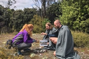 Från Queenstown: Lord of the Ring dagsutflykt