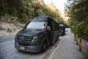 Au départ de Queenstown : Milford Sound en classe affaires avec croisière