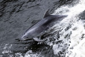 Au départ de Queenstown : Milford Sound en classe affaires avec croisière