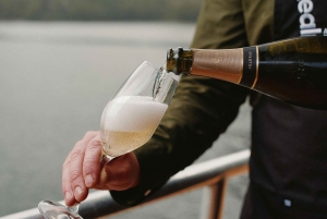 Z Queenstown: Milford Sound w klasie biznesowej z rejsem