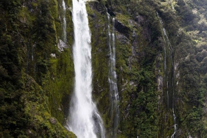 Z Queenstown: Milford Sound w klasie biznesowej z rejsem