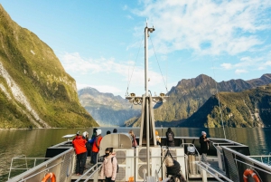 Milford Sound Cruise and Coach Day Trip