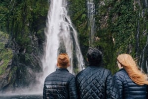 Desde Queenstown: crucero Milford Sound y Scenic Drive