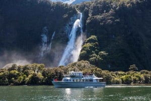 Desde Queenstown: crucero Milford Sound y Scenic Drive