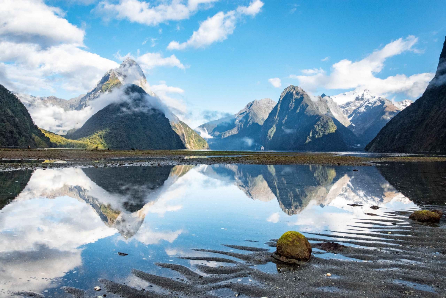 From Queenstown: Milford Sound Day Tour & Cruise - Polaroid in Queenstown