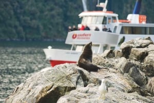 From Queenstown: Milford Sound Discover More Longest Cruise