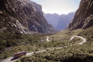 From Queenstown: Milford Sound Discover More Longest Cruise