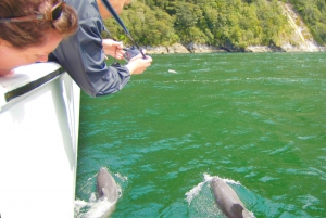 From Queenstown: Milford Sound Flight and Boat Cruise