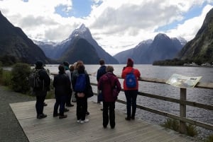 From Queenstown: Milford Sound Flight and Boat Cruise