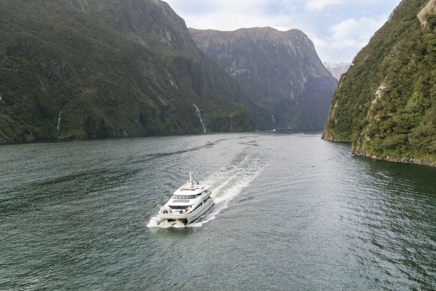 From Queenstown: Milford Sound Full-Day Tour with Lunch