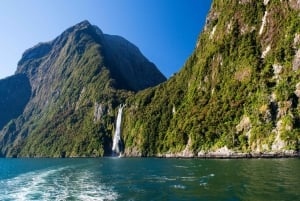 Milford Sound Full-Day Tour with Lunch