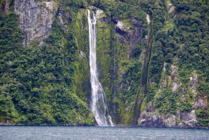From Queenstown: Milford Sound Full-Day Trip by Plane & Boat