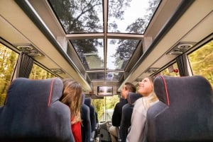 Milford Sound Full-Day Trip