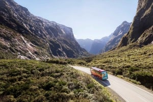 From Queenstown: Milford Sound, Observatory & Cruise w Lunch