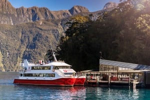 From Queenstown: Milford Sound, Observatory & Cruise w Lunch