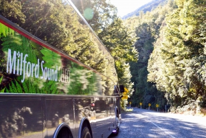 From Queenstown: Milford Sound Premium Day Tour and Cruise