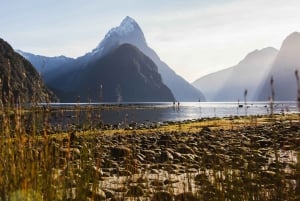 From Queenstown: Milford Sound Scenic Flight & Nature Tour