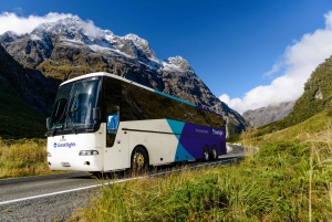 From Queenstown: Milford Sound Tour and Cruise with Lunch