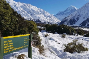 Fra Queenstown: kombinasjon av Mount Cook Heli-Hike og busstur