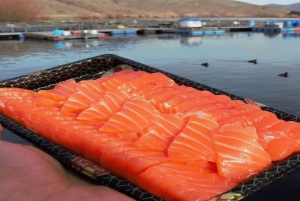 Fra Queenstown: kombinasjon av Mount Cook Heli-Hike og busstur