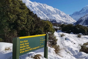 From Queenstown: Mount Cook Heli-Hike and Tour Combo