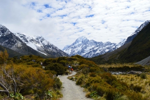 From Queenstown: Mount Cook Private Day Tour