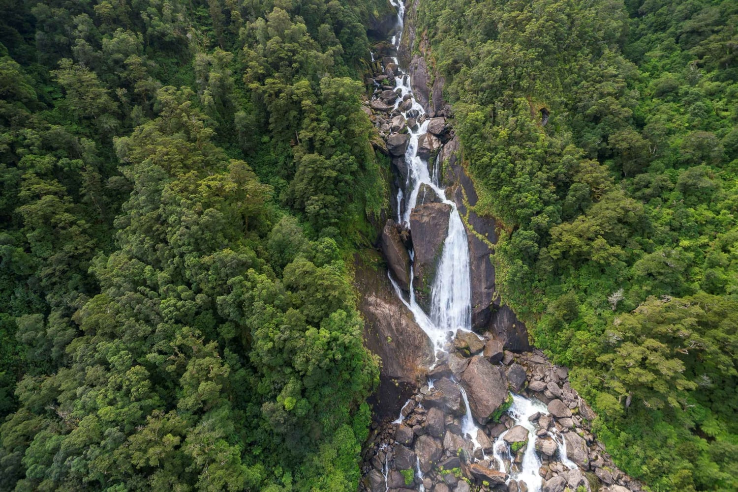 De Queenstown: excursão panorâmica de ida para Franz Josef