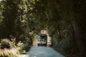 From Queenstown: VIP Glenorchy & Paradise Expedition