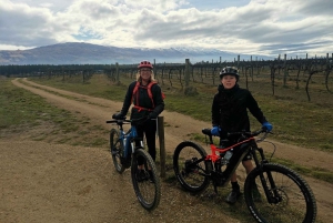 From Wanaka: Lake Dunstan Trail E-Bike Hire & Shuttle