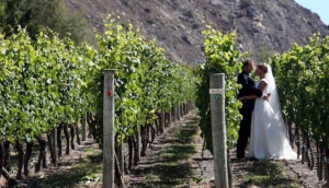 Gibbston Valley Winery Weddings and Functions