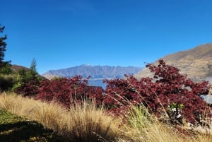 Passeio especial em Glenorchy, saindo de Queenstown