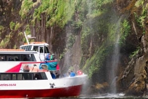 Glenorchy | Milford Sound Helicopter Tour & Scenic Cruise