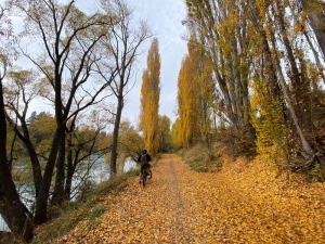 Gorge on Roxburgh Trail - Kiwi Journeys