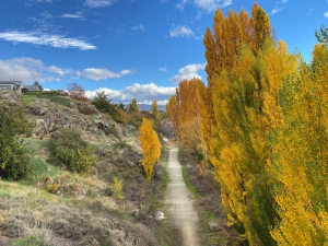 Gorge on Roxburgh Trail - Kiwi Journeys