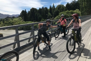 Guidet naturskøn elcykeltur - tur til søen