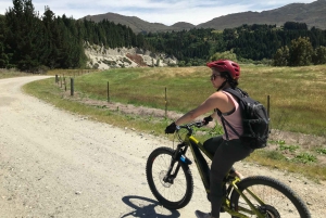 Guidet naturskøn elcykeltur - tur til søen