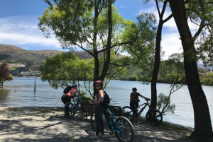 Guidet naturskøn elcykeltur - tur til søen