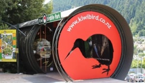 Best Things To Do with Kids in Queenstown