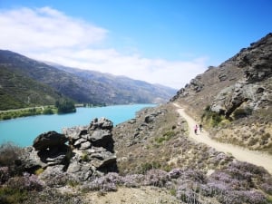 Lake Dunstan Discovery - Kiwi Journeys