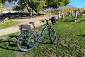 Cromwell: Lake Dunstan Trail Bike Rental and Luxury Shuttle