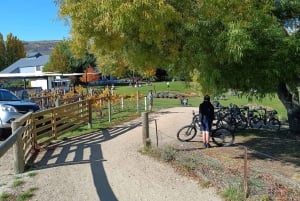 Cromwell: Lake Dunstan Trail Bike Rental and Luxury Shuttle