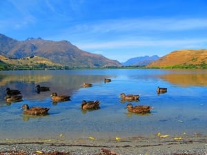Lake Hayes