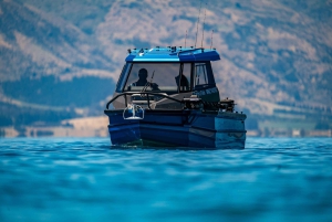 Lake Wakatipu: 3 timers fiskeeventyr med båt