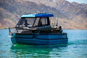 Lake Wakatipu: 3 timers fiskeeventyr med båt