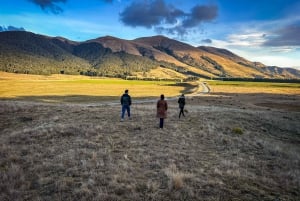 Fra Queenstown: LOTR-dagsudflugt til Te Anau og Mavora-søerne