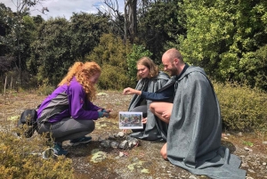 Desde Queenstown: Tour de día completo por El Señor del Anillo