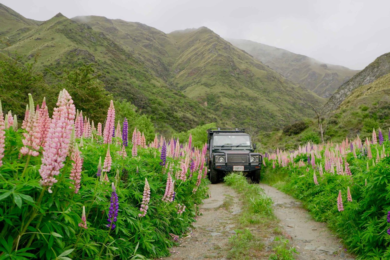 Macetown: goudtocht met terreinwagen, volledige dagtour vanuit Queenstown