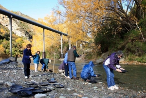 Масетаун: однодневная экскурсия на внедорожнике из Квинстауна